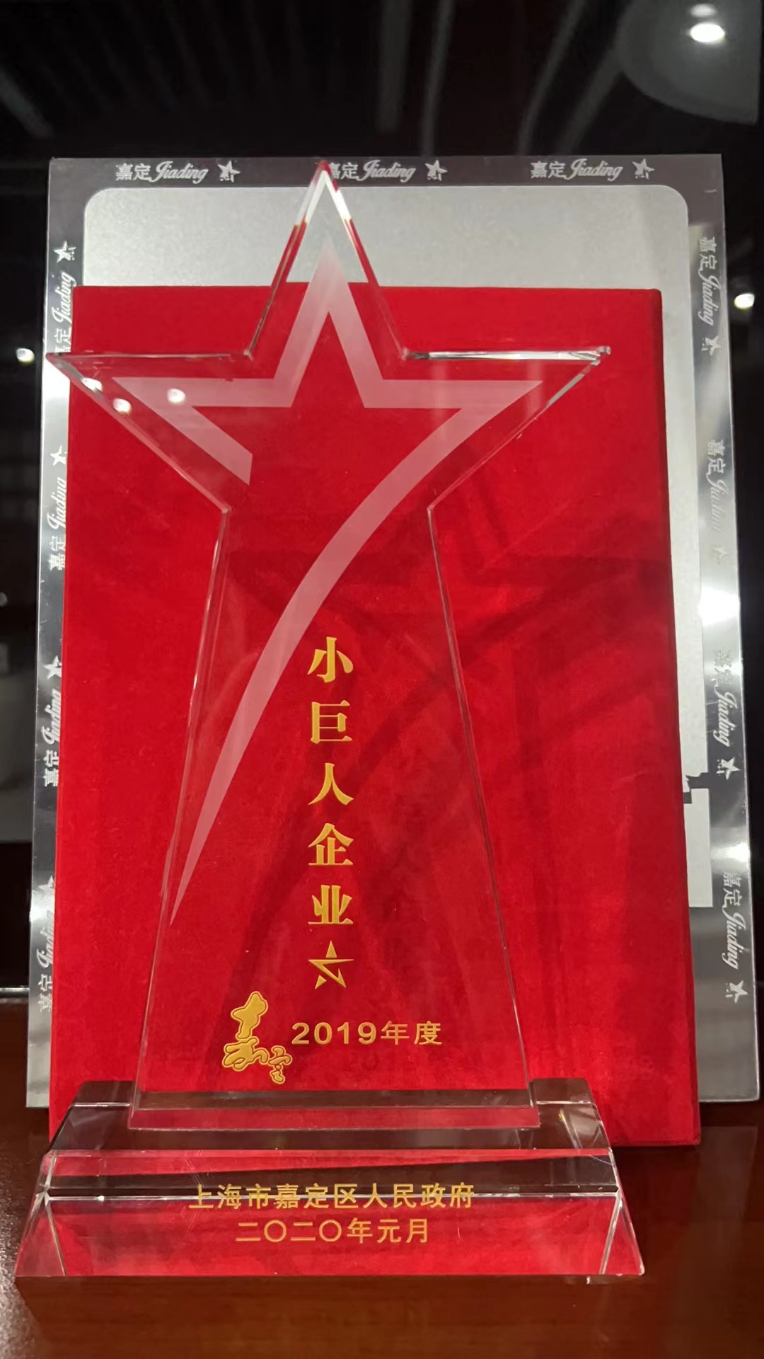 2019 Little Giant Enterprise