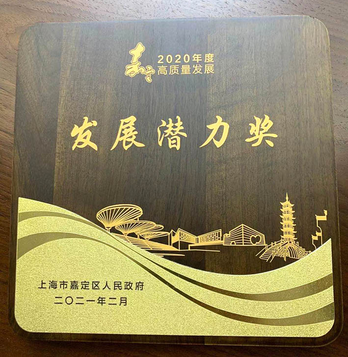 2021 Development Potential Award